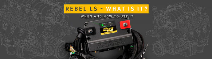 Haltech Rebel LS - What is it?