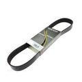 Dayco Poly-V Belt Suit Mercedes Benz S-Class - 8PK2440HD