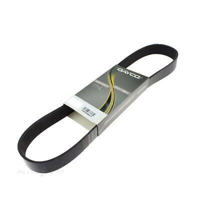 Dayco Poly-V Belt Suit Mercedes Benz S-Class - 8PK2440HD