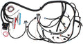 Aeroflow GM LS1 with T56 Manual Transmission Wiring Harness Standalone Plug and Play Complete Engine Harness