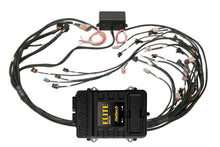 Load image into Gallery viewer, Elite 2500 GM GEN III LS1 non DBW Terminated Harness Kit EV1