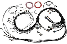 Load image into Gallery viewer, Haltech Universal V8 Terminated Engine Harness for Nexus R5 VCU