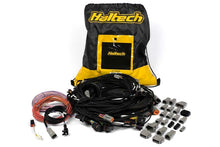 Load image into Gallery viewer, Haltech Universal V8 Terminated Engine Harness for Nexus R5 VCU