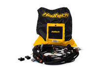 Load image into Gallery viewer, Haltech Nexus Rebel LS Terminated Harness for Nexus Rebel LS ECU