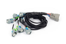 Load image into Gallery viewer, Haltech Nexus Rebel LS - LS EV6 Injector Sub-Harness