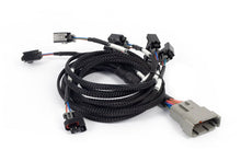 Load image into Gallery viewer, Haltech Nexus Rebel LS - Multec 2 Injector Sub Harness