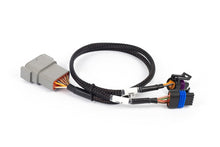 Load image into Gallery viewer, Haltech Nexus Rebel LS - Cable Throttle + IAC sub-harness