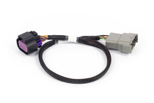 Load image into Gallery viewer, Haltech Nexus Rebel LS - 8-pin DBW adaptor