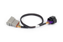 Load image into Gallery viewer, Haltech Nexus Rebel LS - 8-pin DBW adaptor