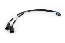 Load image into Gallery viewer, Haltech Nexus Rebel LS - Gen III Knock Sensor Adaptor