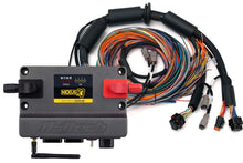 Load image into Gallery viewer, Haltech Nexus R3 + Universal Wire-in Harness Kit - 2.5m (8&#39;)