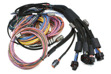 Load image into Gallery viewer, Haltech Nexus R5 + Universal Wire-in Harness Kit - 2.5M (8&#39;)