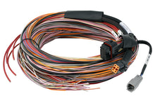 Load image into Gallery viewer, Haltech PD16 PDM + Flying Lead Harness (5M)