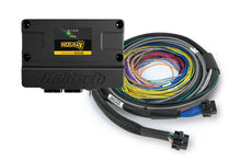 Load image into Gallery viewer, Haltech Nexus S3 ECU + Universal Wire-in Harness - 2.5m (8&#39;)
