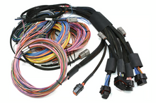 Load image into Gallery viewer, Haltech Nexus R5 + Universal Wire-in Harness Kit - 5M (16&#39;)