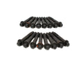 BTR 6 Point Rocker trunnion Bolts M8-1.25 x 45mm
