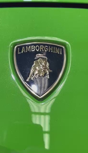 Limited Edition ~ HTP Lamborghini Huracan Stubby Cooler ~ LTORO & ST KING