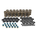 PAC Racing Dual Valve Spring Kit suit LS1 LS2 LS3